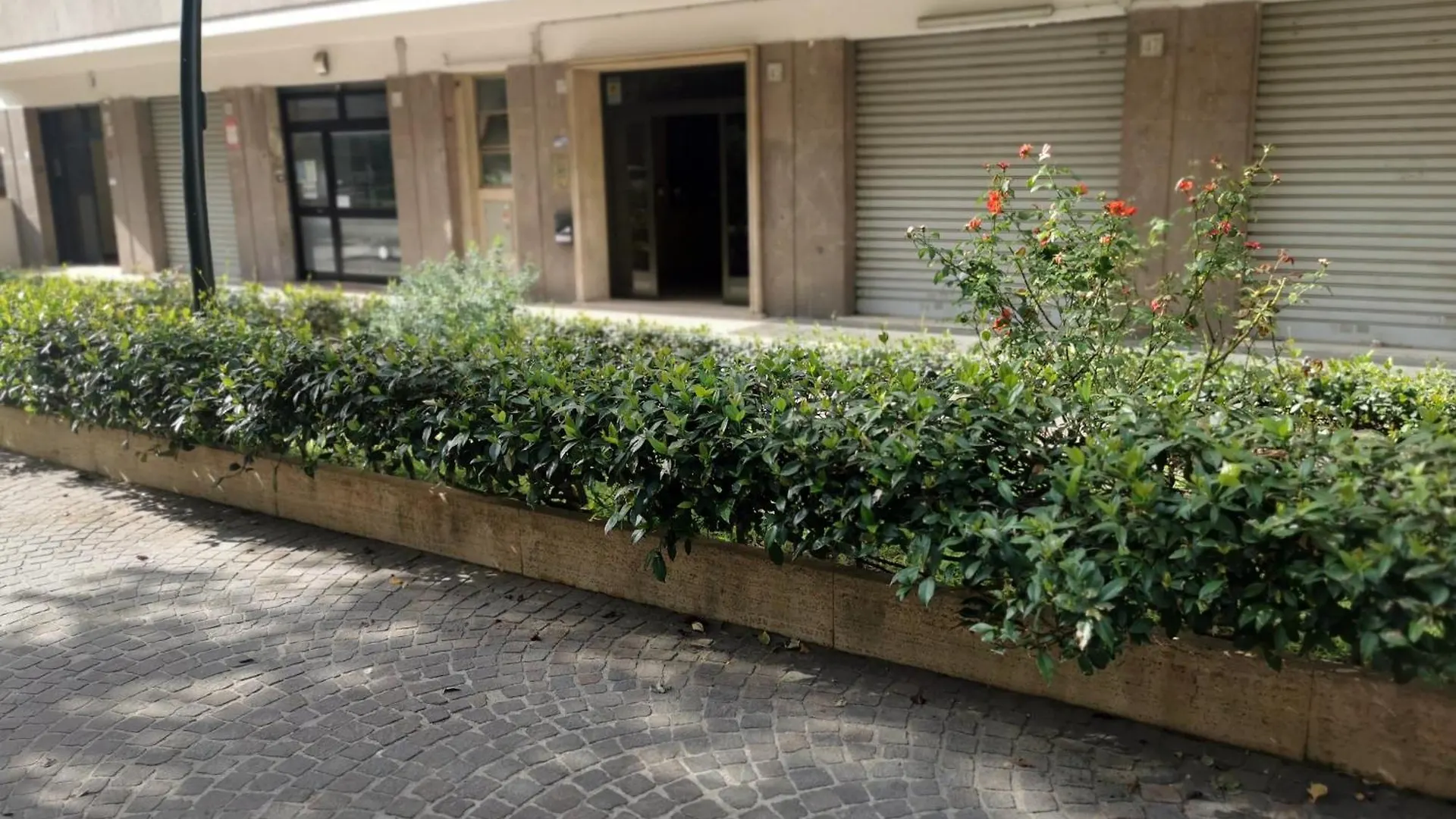 Apartment A Due Passi Da Trastevere Rome